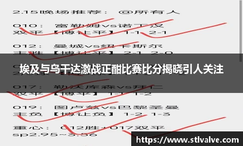 埃及与乌干达激战正酣比赛比分揭晓引人关注