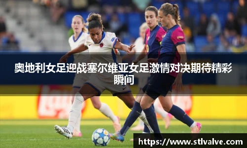 快盈V3