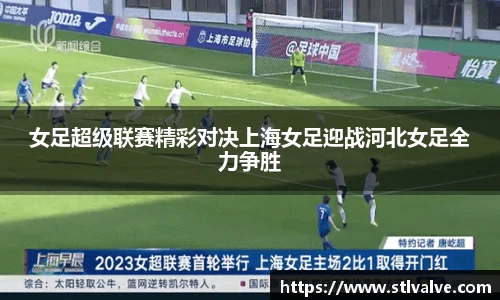 快盈V3
